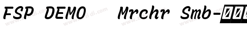 FSP DEMO   Mrchr Smb字体转换
